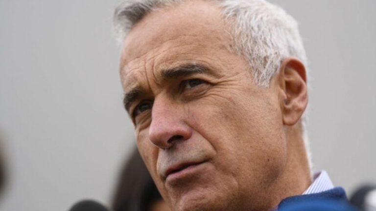 Ce indica sondajele partidelor inainte de prezidentiale Calin Georgescu este destul de sus