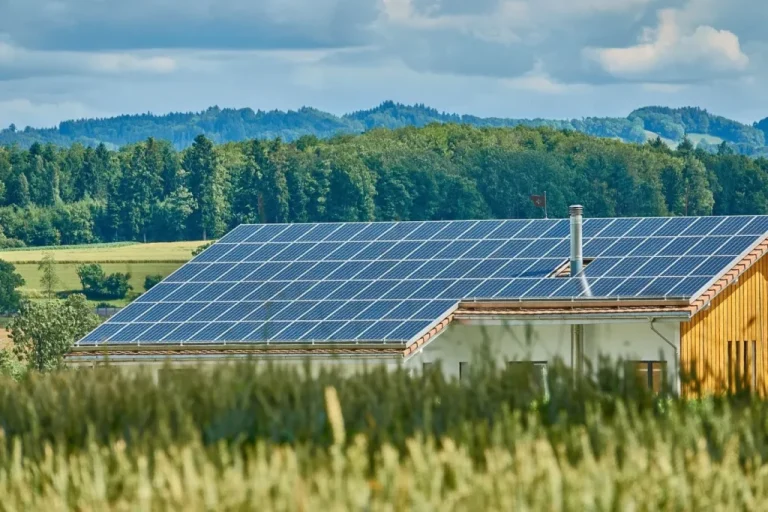 anatomia-unei-victorii-juridice:-a-patra-decizie-favorabilă-trustee-capital-management-ifn-dezvăluie-mecanismele-sistemului-corupt-din-casa-verde-fotovoltaice