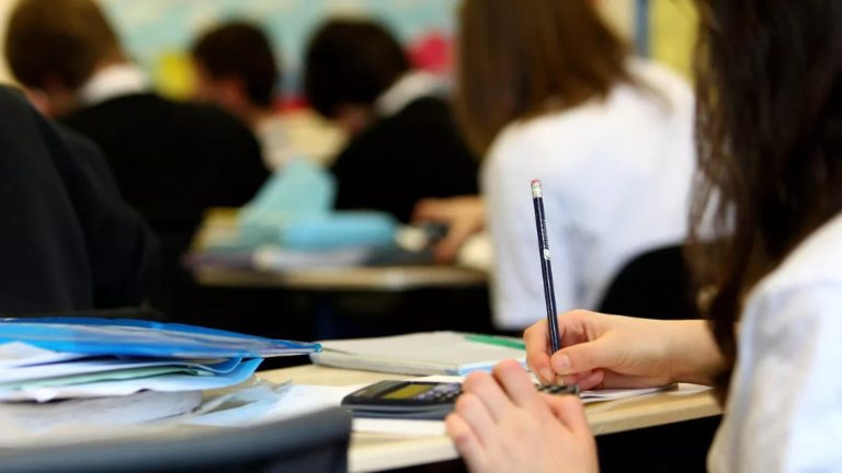 Guvernul reduce Programul Abandonului Scolar dispar trei prevederi importante