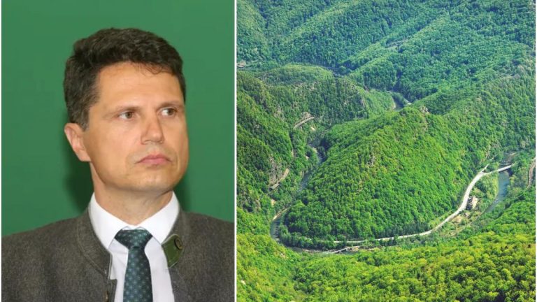 Milionarul de la Romsilva Danut Apostu antreprenor