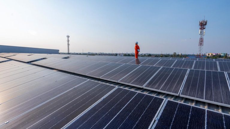Diana Buzoianu Putem construi parc fotovoltaic mai ieftin