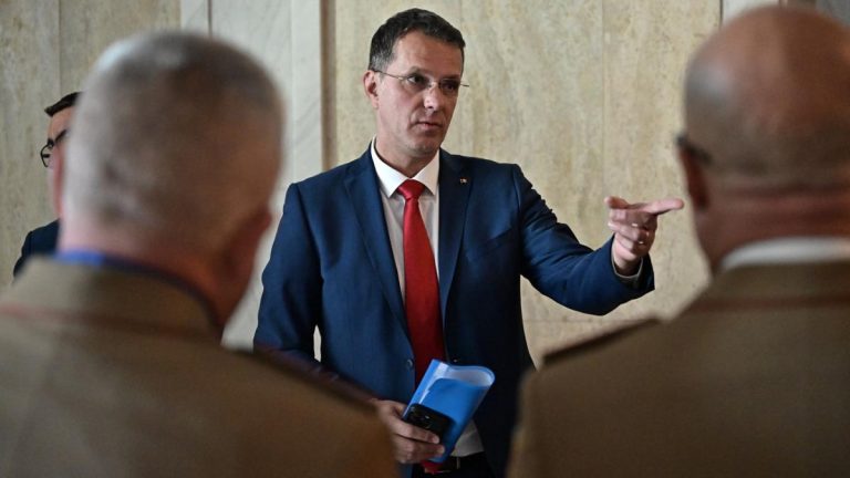 Ionut Mosteanu condamna Rusia pentru incalcarea spatiului aerian NATO