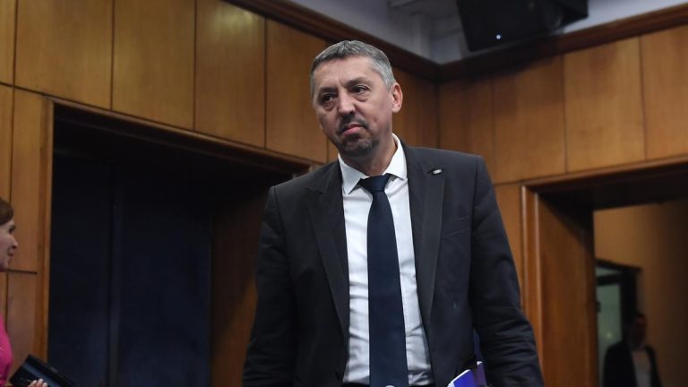 Motunea simpla contra lui Daniel David va fi votata luni