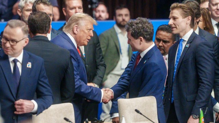 Nicusicor Dan lauda planul lui Trump pentru Gaza