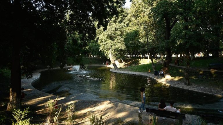 Primaria Sectorului 1 renunta la Lumina Park Kiseleff
